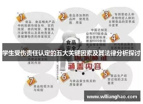 学生受伤责任认定的五大关键因素及其法律分析探讨