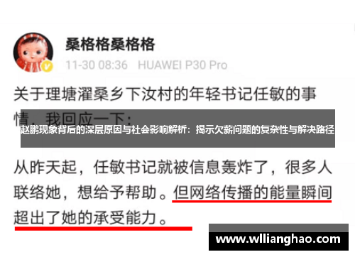 赵鹏现象背后的深层原因与社会影响解析：揭示欠薪问题的复杂性与解决路径