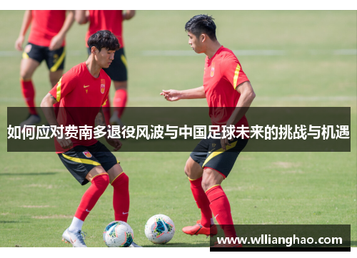如何应对费南多退役风波与中国足球未来的挑战与机遇