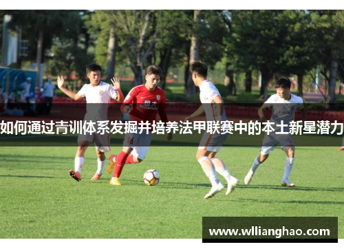如何通过青训体系发掘并培养法甲联赛中的本土新星潜力